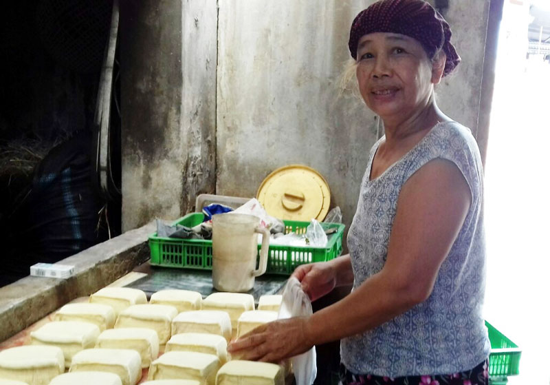 Sản xuất đậu gù Trà Lâm - Thuận Thành - Bắc Ninh