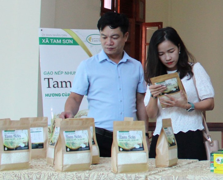 gạo nếp nhung tam sơn từ sơn bắc ninh