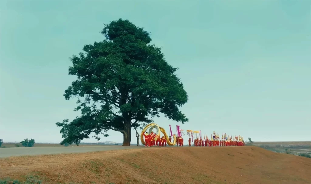 cây cô đơn bắc ninh